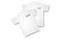 100% Cotton T-Shirt - White