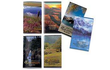 Assorted Scenic Series W/ Vinyl