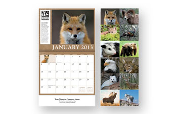 North American Wildlife Wall Cal.