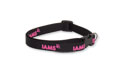 Dog Collar