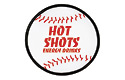 Baseball Folding Flyer