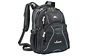 High Sierra Swerve Compu-Backpack