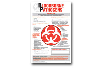 Bloodborne Pathogens Poster